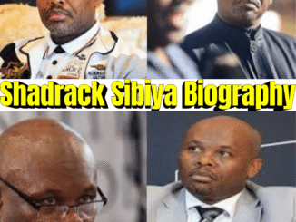 Shadrack Sibiya Biography – Career, Education, SAPS Leadership & Achievements